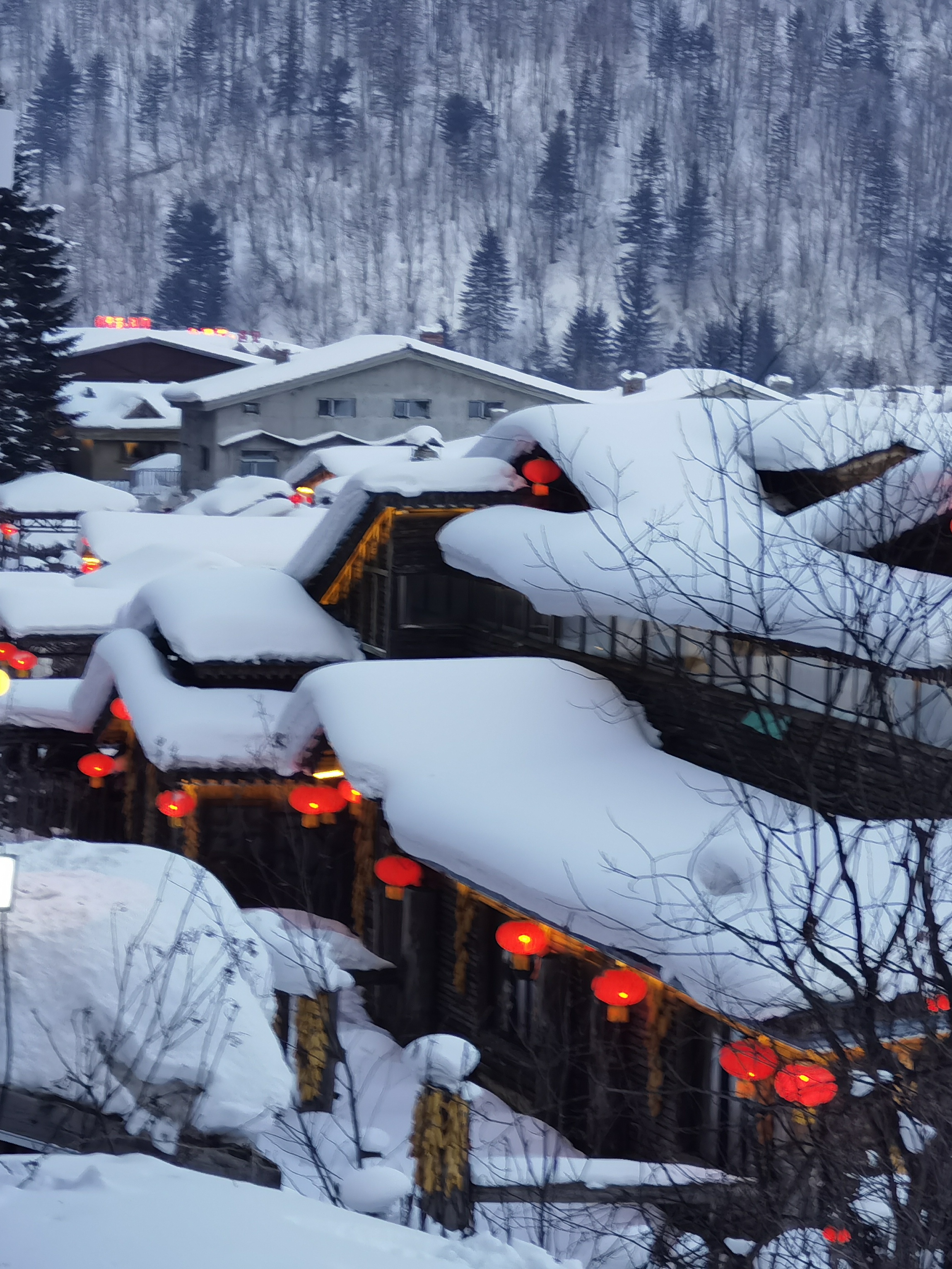 白雪