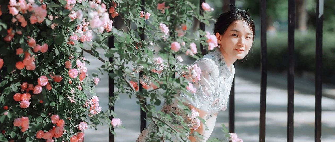 蔷薇花怎么拍